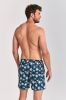 Shiwi Zwembroeken Men Swim Short Vacation Palmtrees Blauw online kopen